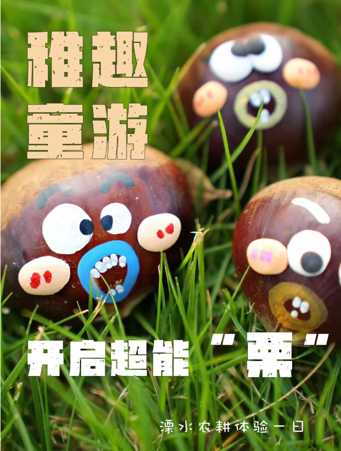 研途皆秋景，恰是采栗時——農耕體驗一日研學活動